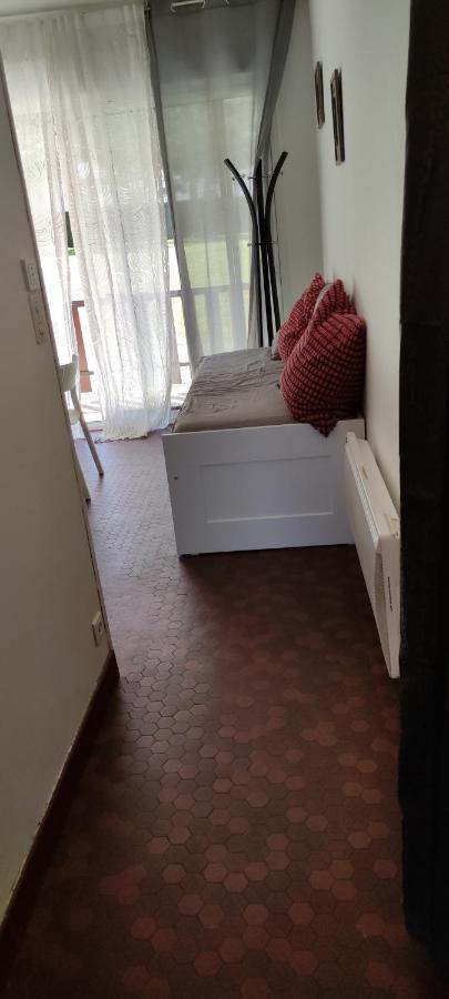 Appartement T1Bis St Lary Soulan Village Saint-Lary-Soulan Exteriér fotografie